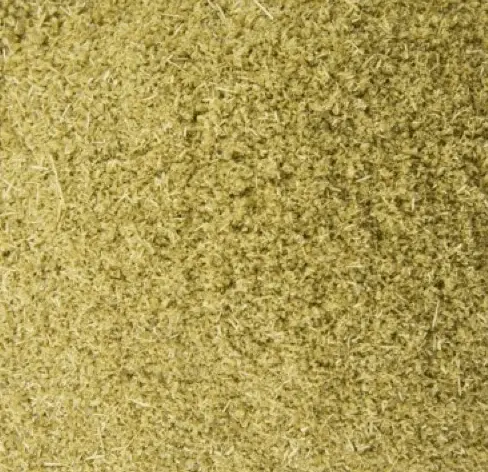 Fennel Powder