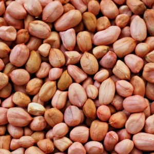 Groundnut (Peanuts)