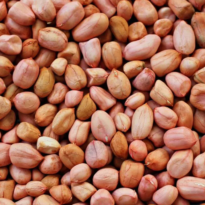 Groundnut (Peanuts)