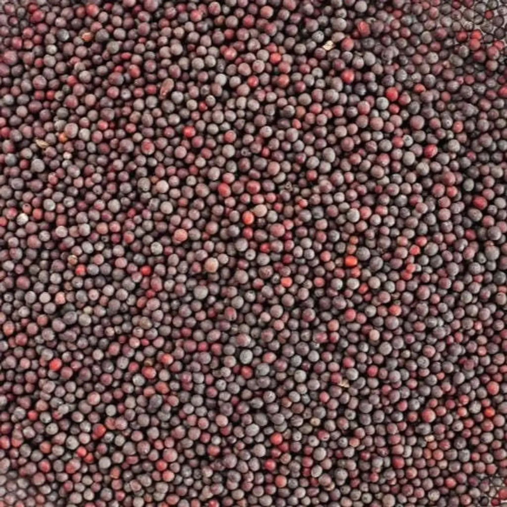 Mustard Seeds