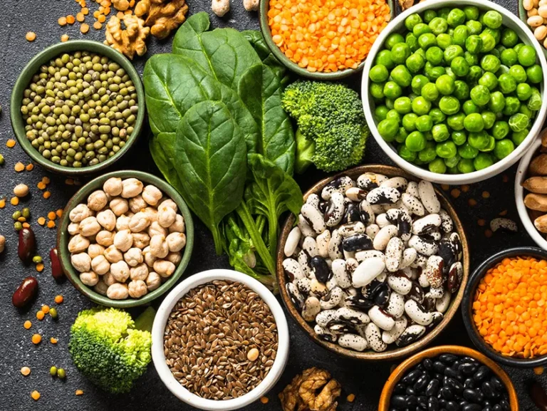 Protein Foods