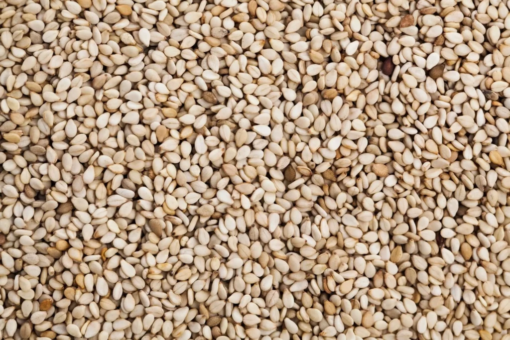 Sesame Seeds 1